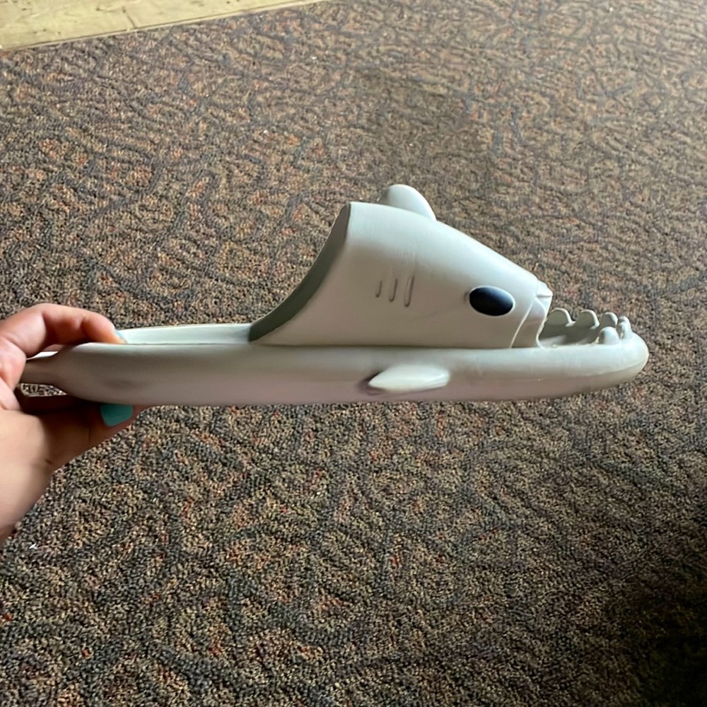 Sharks slides